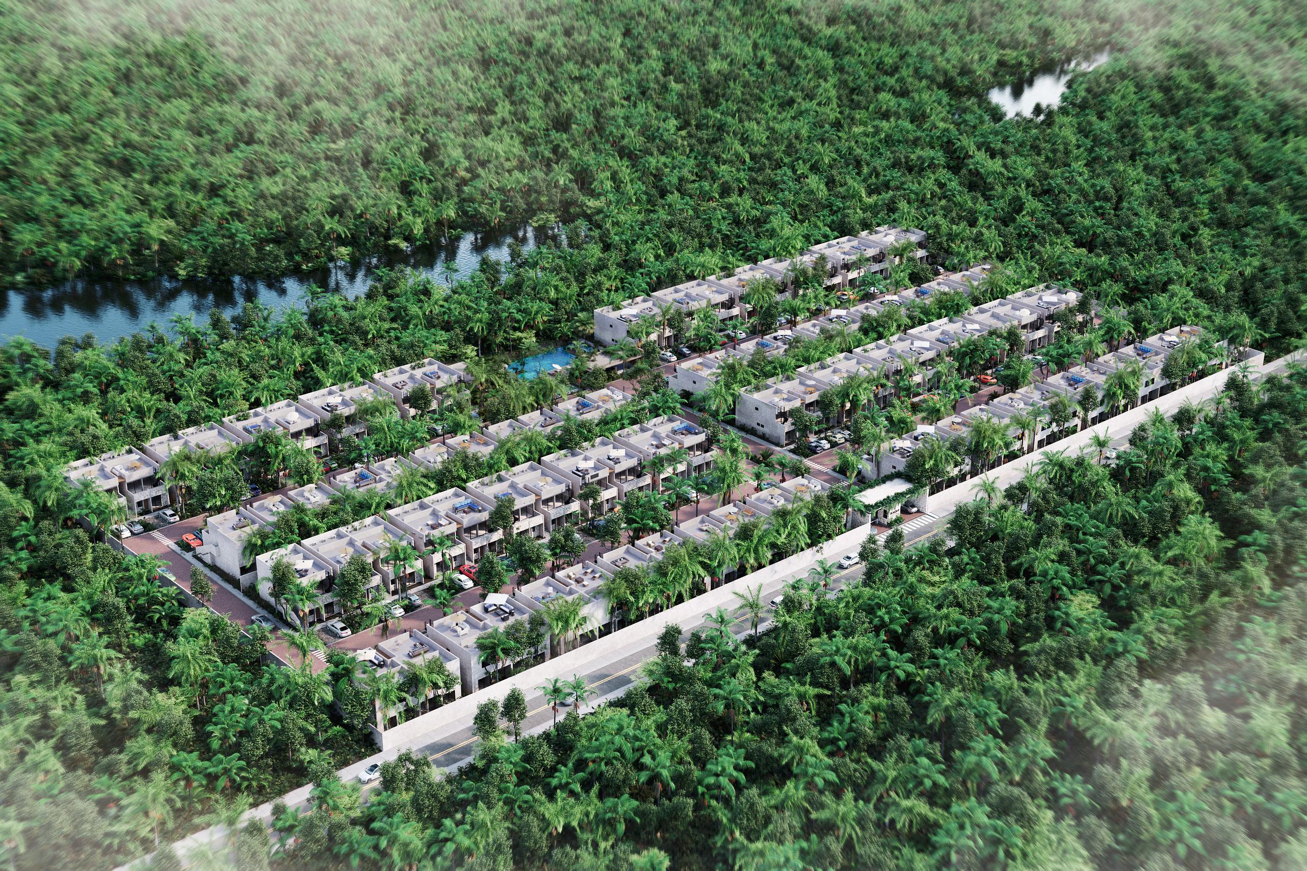 KAONI (La Reserva)